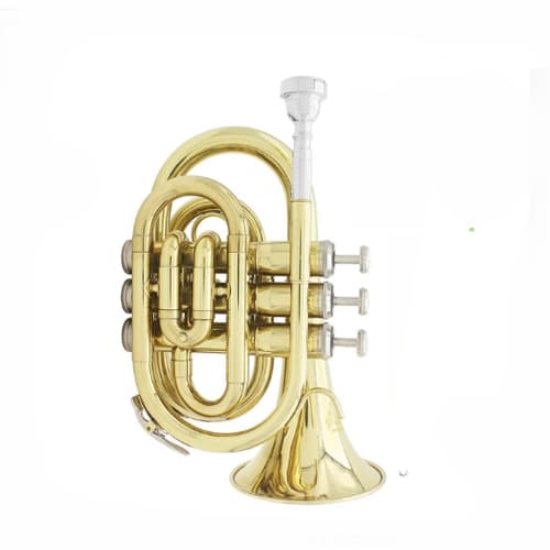 Black Raven Cep Trompeti